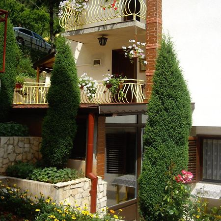 Guest House Rusalka 希普科沃 外观 照片